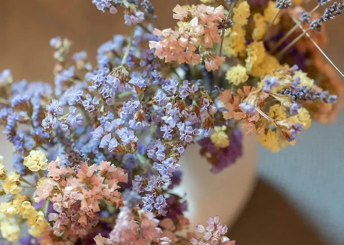 Petra No2 아파트 메토니